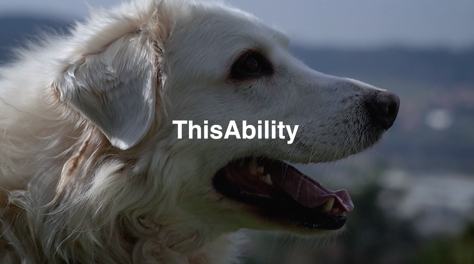 Carica il video: ThisAbility Video Contest Pet Carpet Film Festival 2021